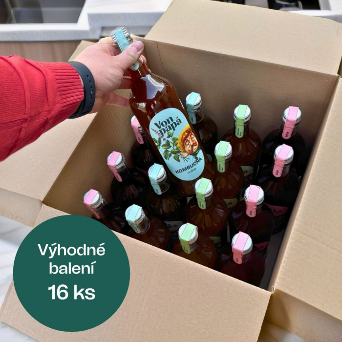 Kombucha na měsíc