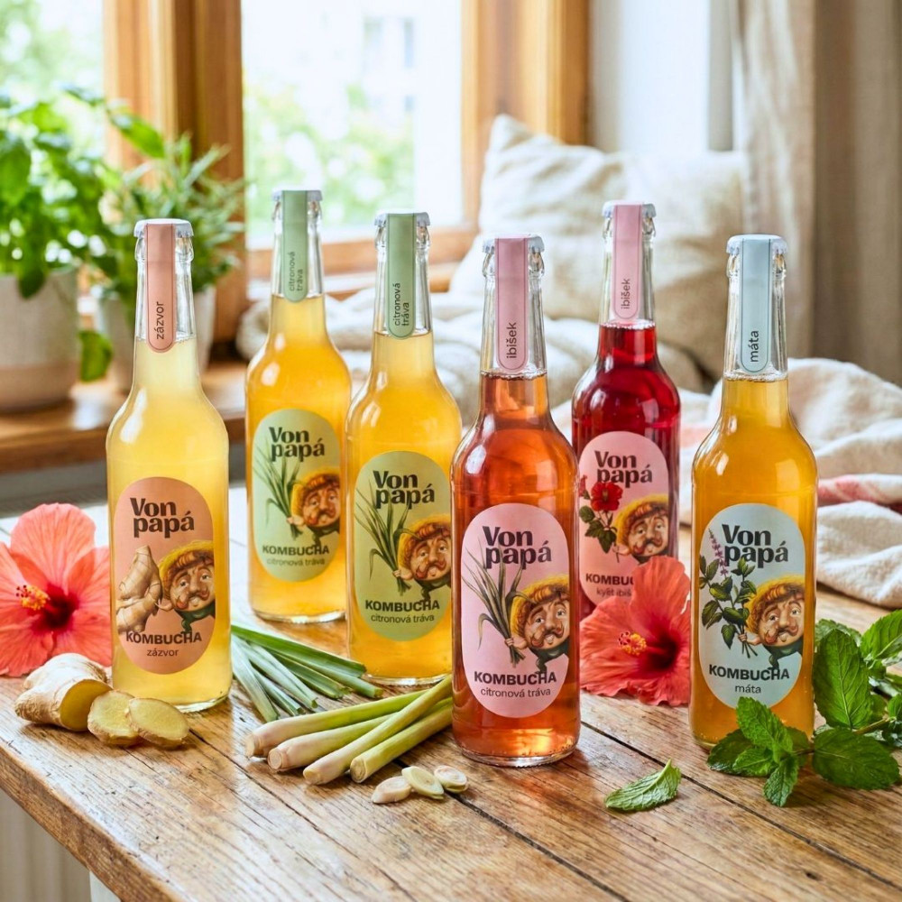 Von Papá Kombucha sixpack 6 x 330 ml mix