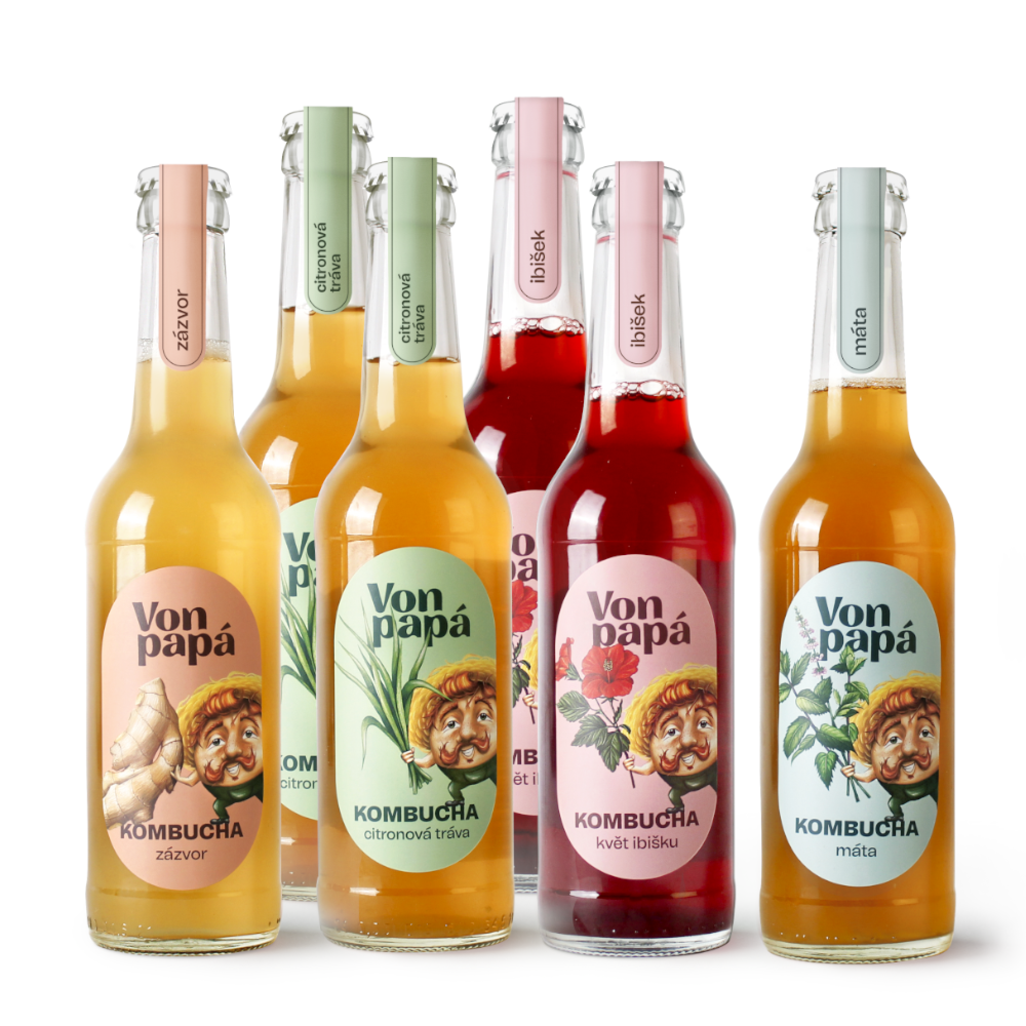 Von Papá Kombucha sixpack 6 x 330 ml mix