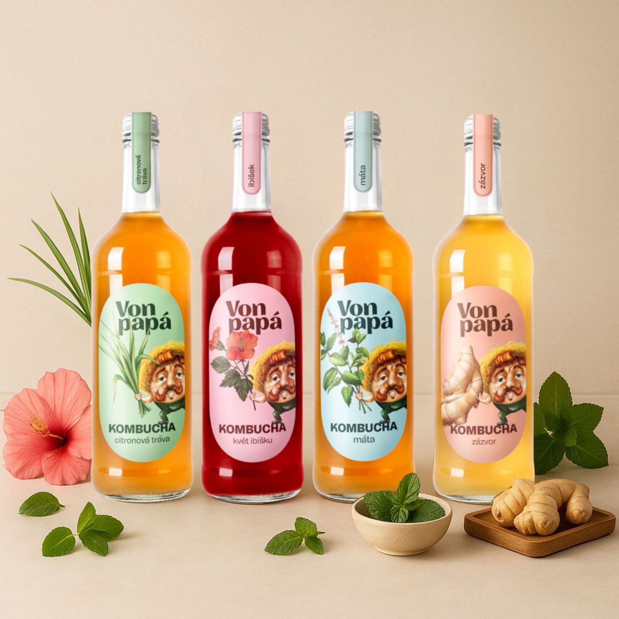Von Papá Kombucha sixpack 6 x 750 ml mix