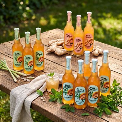 Výhodný balíček Kombucha Von Papá 12 x 330 ml